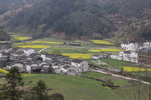 婺源山村田园风光美景