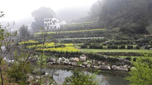 婺源山间云雾缭绕的梯田美景