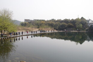 婺源宁静湖畔木桥映景