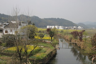 婺源乡村河畔春日田园风光