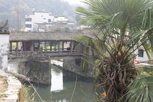 婺源江南水乡古桥风景图