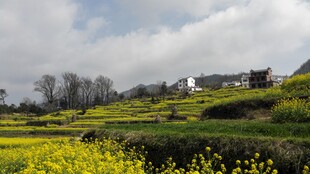 婺源春日田园风光美景