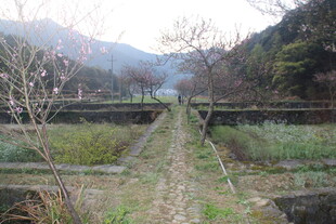 婺源山间废弃铁轨 自然野趣