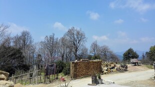 婺源冬日户外荒凉场景