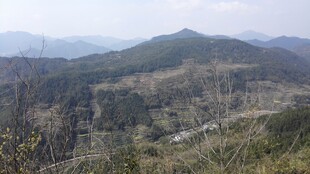 婺源山峦景色 山间蜿蜒小路