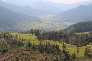 婺源山间田园美景