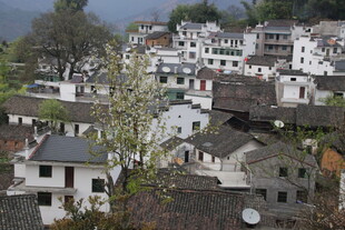 婺源徽派村落景致