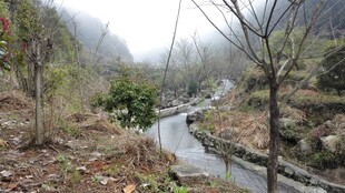 婺源山间溪流冬日静谧景象