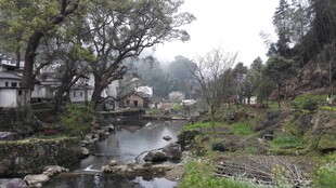 婺源山间小溪旁的乡村景致