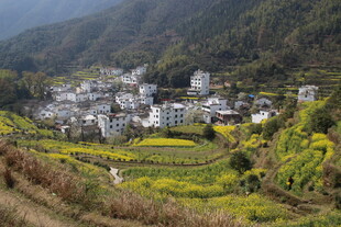 婺源皖南田园村落美景