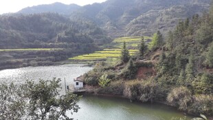 婺源山水田园风光美景图