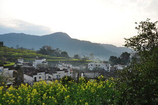 婺源山村春色 田园风光如画