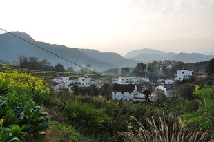 婺源山村晨景 绿意环抱的村落