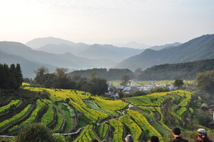 婺源梯田美景 山间田园风光