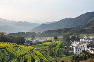 婺源山间梯田村落美景