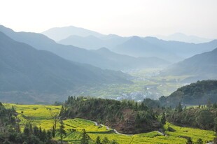 婺源山间绿野风光
