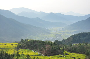 婺源山间田园美景