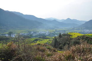 婺源山间油菜田美景
