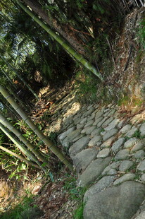 婺源山间石径 翠竹相伴