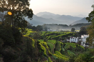 婺源山间梯田晨曦美景