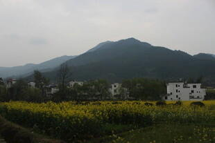 婺源田园风光中的远山与村落