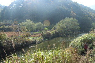婺源山间河畔自然美景