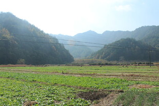 婺源田园山野风光
