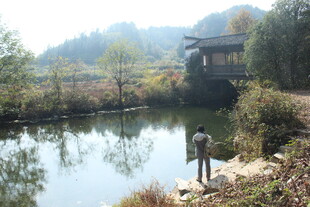 婺源溪边垂钓者 宁静山水景