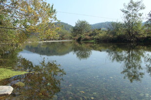 婺源宁静河畔自然风光