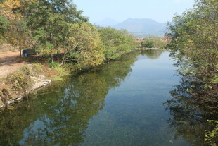 婺源宁静河畔自然风光