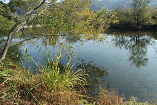 婺源宁静湖畔自然风光