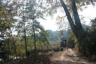 婺源林间徒步小道 静谧美景