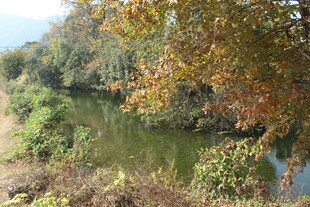 婺源秋日河畔风景