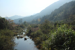 婺源山间溪流 绿意盎然的景致