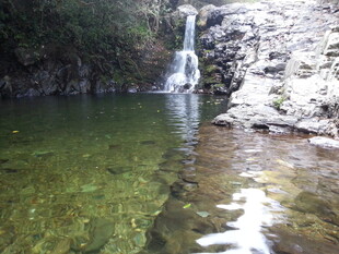 婺源山间清澈瀑布下的碧绿潭水