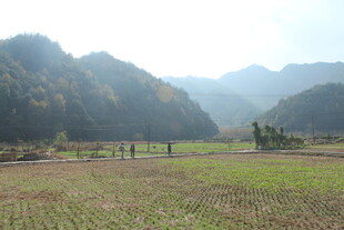 婺源山间田野风光