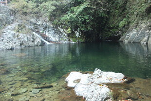 婺源山间清澈幽潭美景