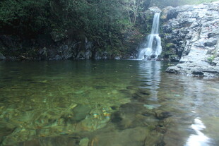 婺源山间清澈潭水与瀑布景观