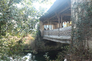 婺源林间木桥小屋 静谧景致