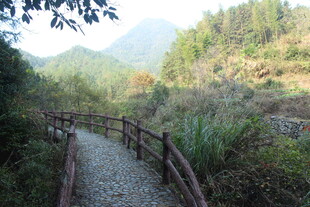 婺源山间木栏小径 自然景致