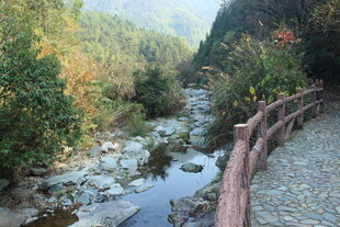 婺源山间潺潺溪流与木质步道
