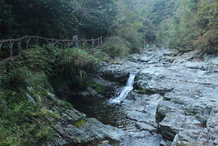 婺源山间溪流小径自然美景