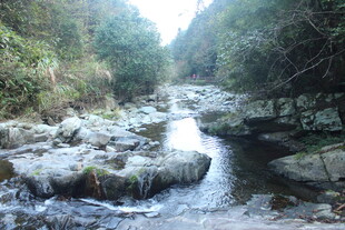 婺源山间溪流 石间潺潺流水