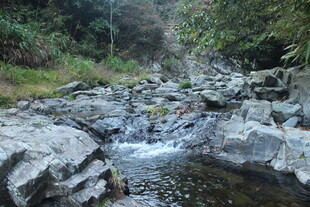 婺源山间溪流 石间潺潺流水