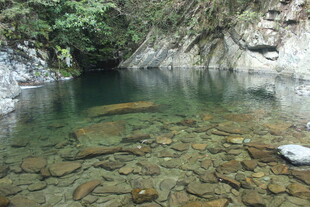 婺源山间清澈见底的幽潭