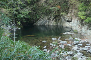 婺源山间幽潭 自然静谧之景