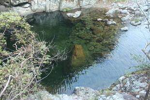 婺源山间清幽水潭景色