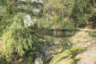 婺源山间清幽溪流景观