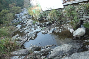 婺源山间清澈小水潭景色