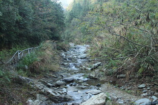 婺源山间溪流 自然野趣之景